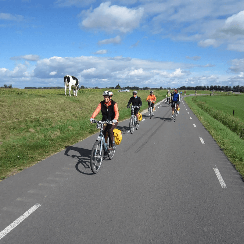 Webdesign Anna Paulowna, Project Direct, Timo van Tilburg, Snel een Webdesigner Anna Paulowna, Website laten maken Anna Paulowna, Website laten bouwen Anna Paulowna, SEO Anna Paulowna, SEA Anna Paulowna, Online Marketing Anna Paulowna, Wordpress Anna Paulowna, Zoekmachine optimalisatie Anna Paulowna